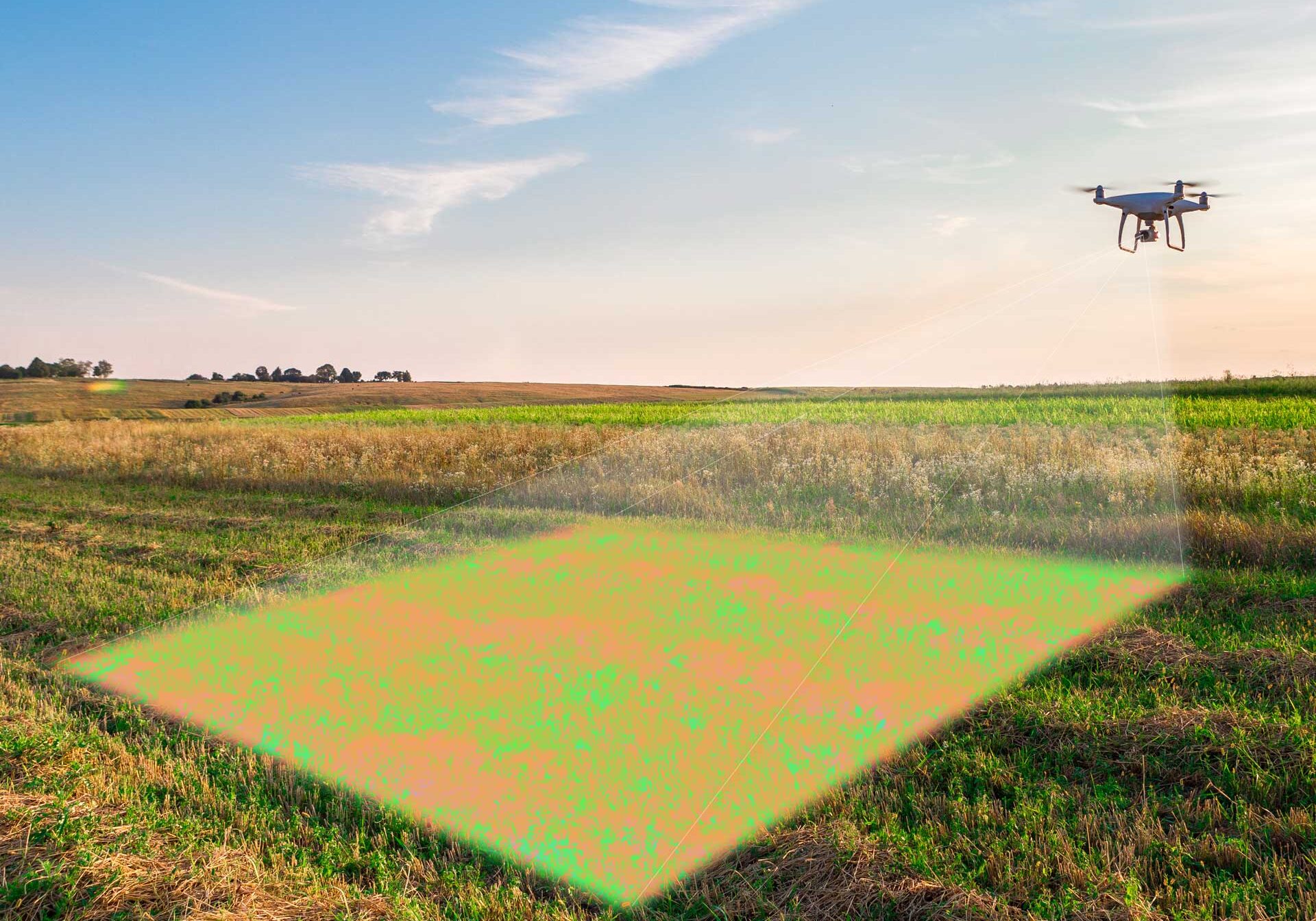 drone-capture-field drone capture field